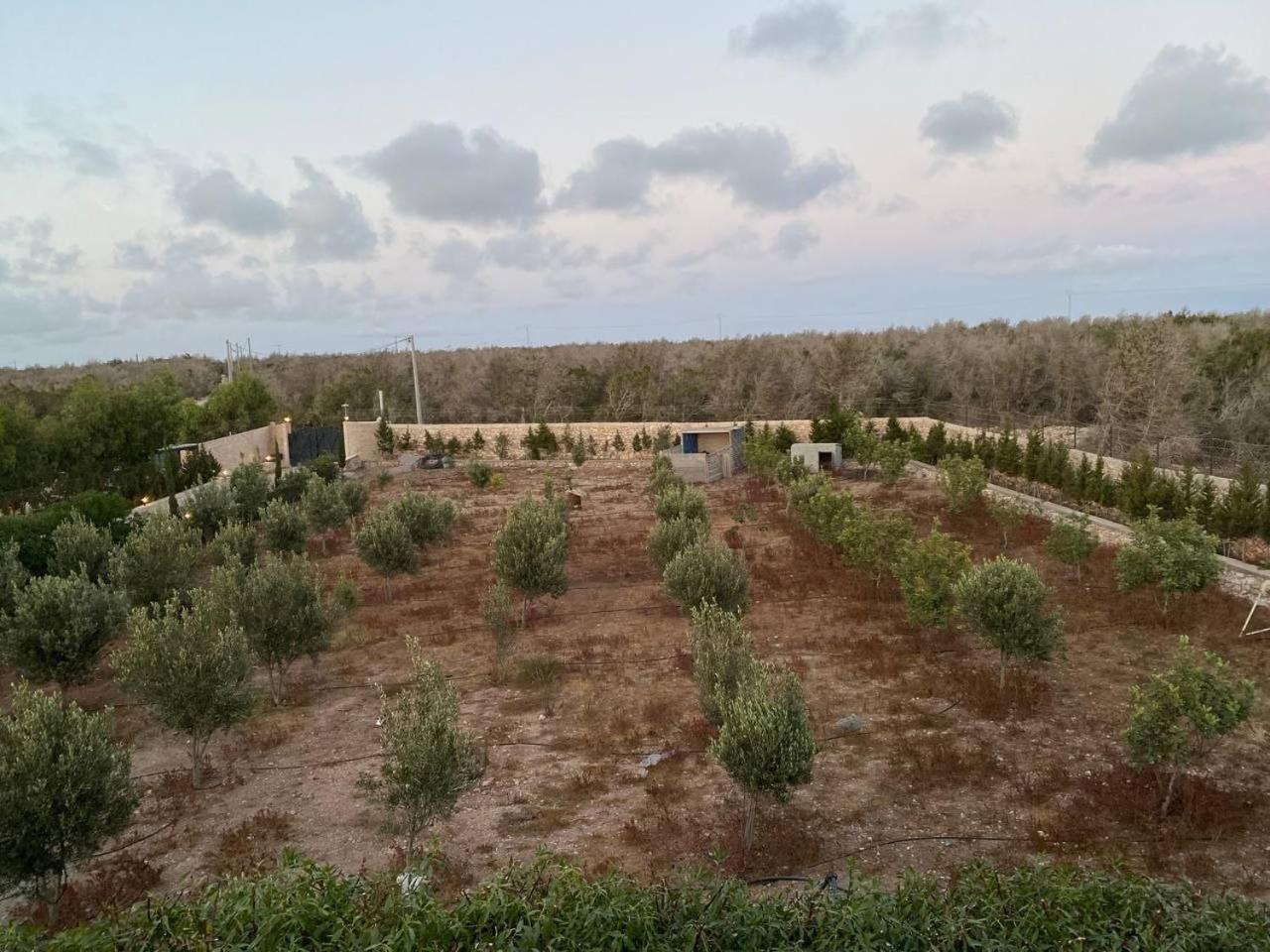 Villa Laarich Essaouira Luaran gambar